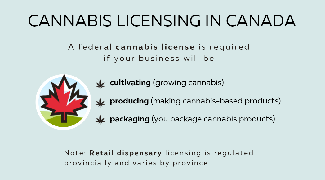 cannabis licensing in canada - illustrated