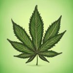 permissive cannabis laws