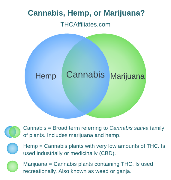 hemp vs marijuana diagram